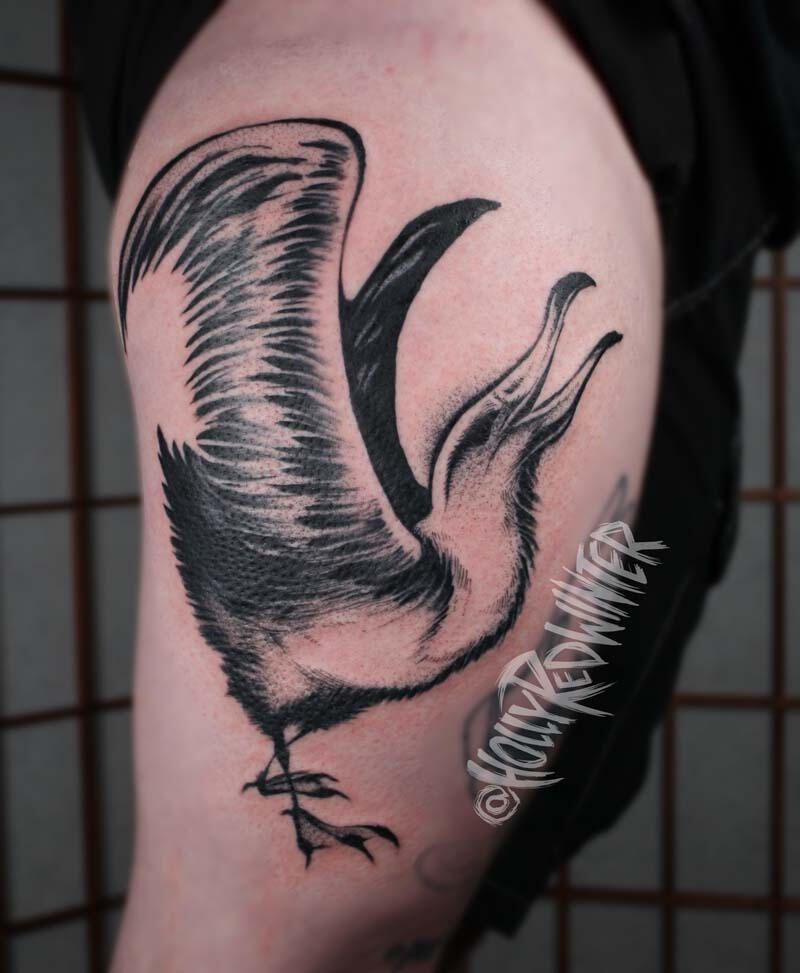 Albatross