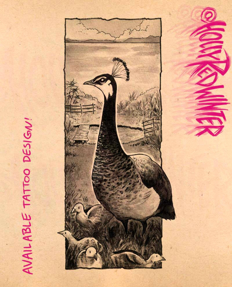 Peacock