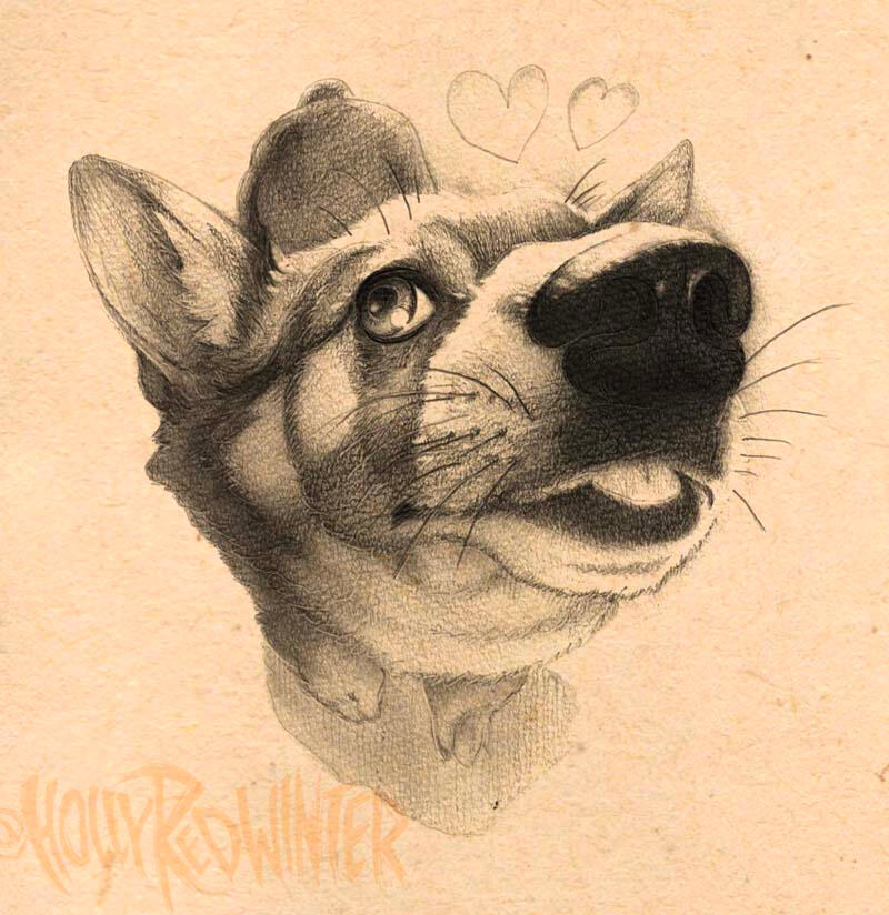 Corg