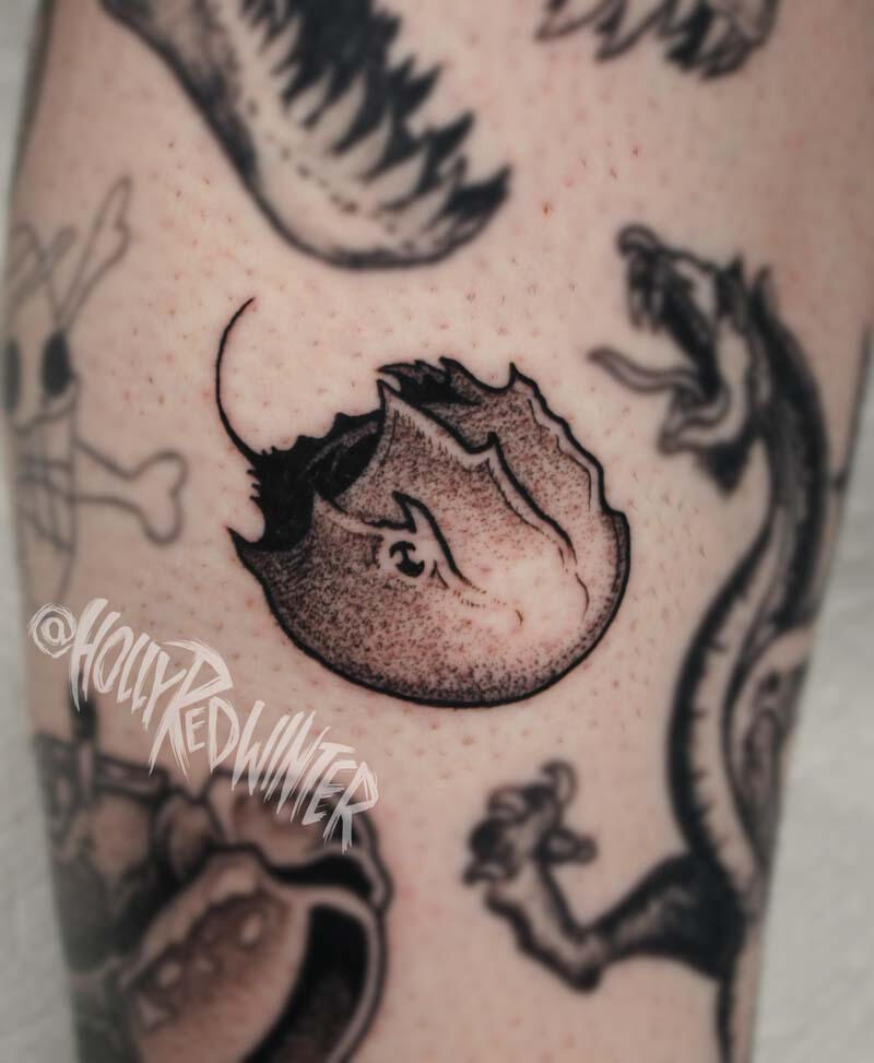 Horseshoe Crab